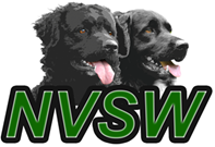 Logo NVSW