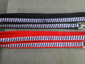 Lijnen met Friese vlag print. (breed 25 mm)