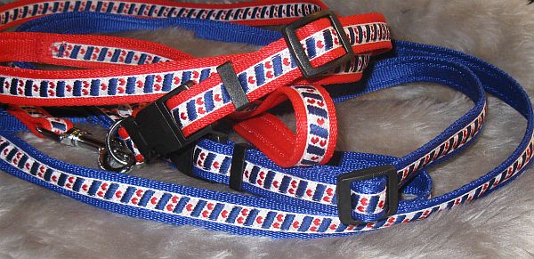 Halsband met Friese vlag print