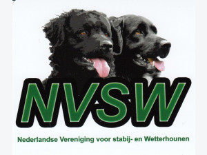 NVSW Sticker