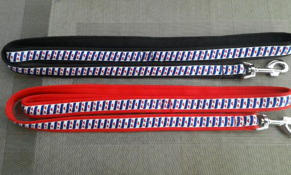 Lijnen met Friese vlag print  (Breed 19 mm)