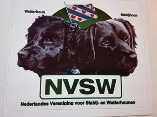 NVSW stikker met Friese vlag 