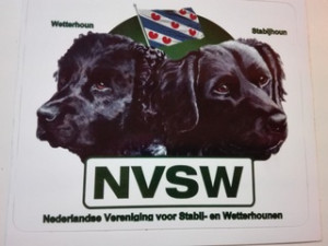 NVSW sticker met Friese vlag 