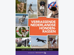Verrassende Nederlandse hondenrassen